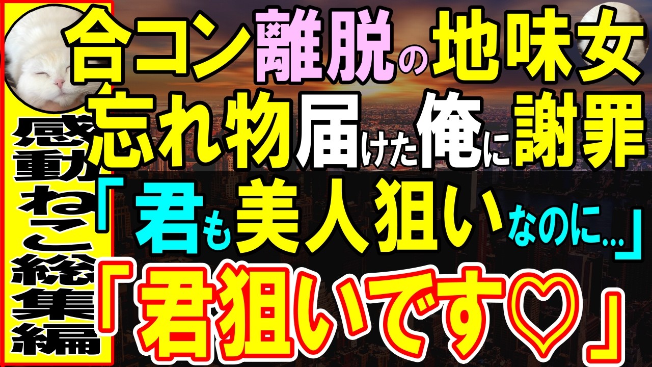 【感動する話】人数合わせで参加した合コンで地味な女性「美人狙いなのに、私のせいで時間奪ってしまって…」忘れ物を届けたら謝罪されたので「俺、君と話したいんです」伝えた結果…【いい話・泣ける話・朗読】