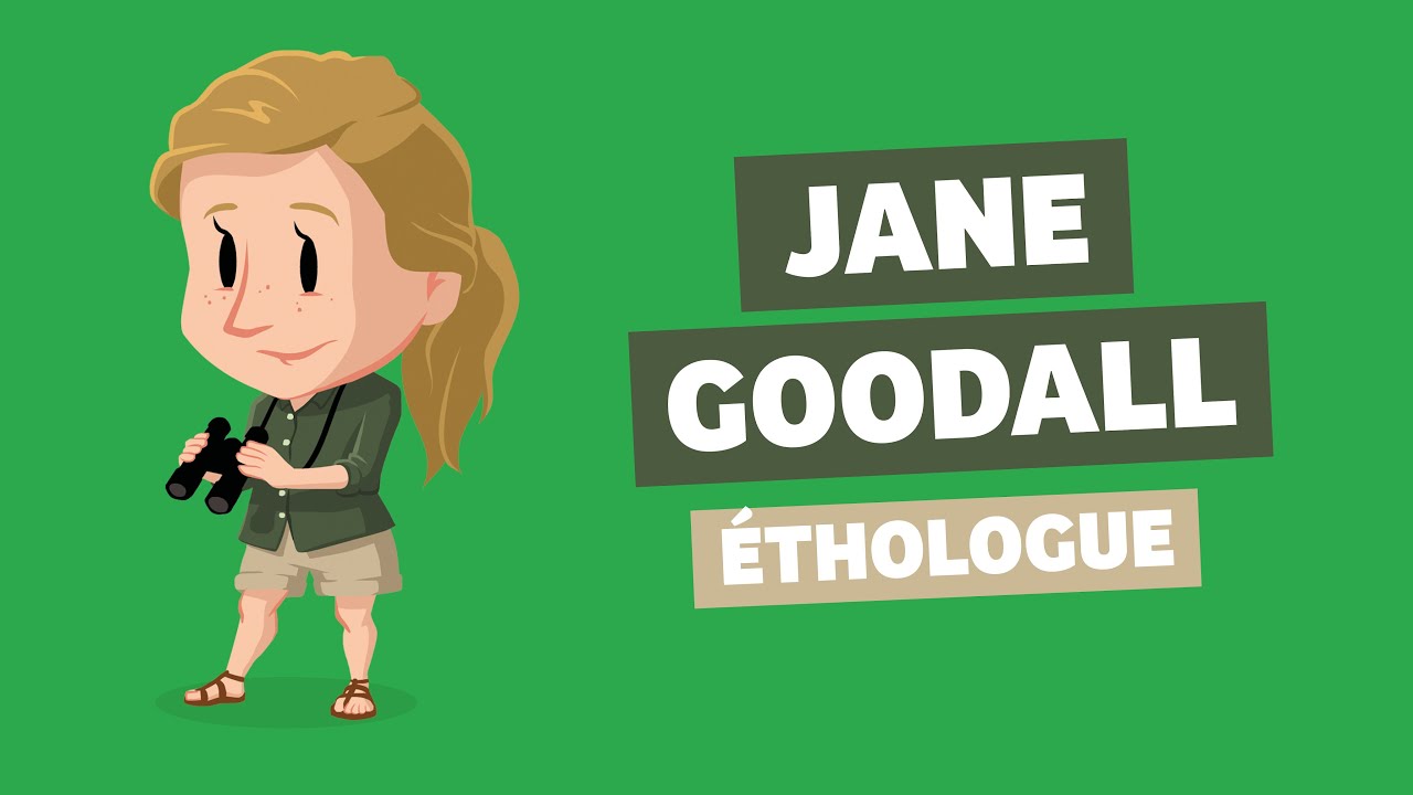 Jane Goodall I Quelle Histoire - TV5 Monde