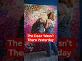 She Painted A Door That Wasn T There Yesterday Shorts Mystery Thriller