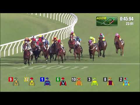 17/10/2021 (103) Trillion Win - A Badel