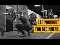 How to Build Massive LEGS (Calf, Thighs, Hamstrings, Quadriceps) FOR BEGINNERS