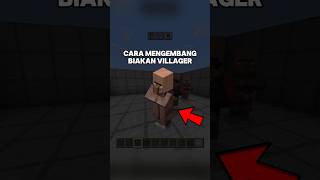 Download lagu How to breed villagers! mp3