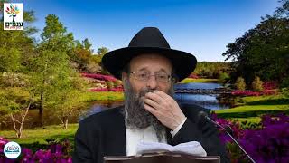 הרב יצחק גולדווסר -עין טובה ועין רעה- שידור חי HD