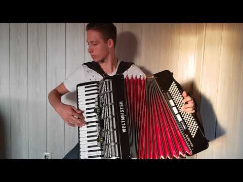 MIROSLAV ILIĆ - Pozdravi je pozdravi (Harmonika)