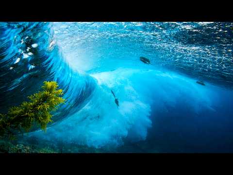 10 Hours of STUNNING Tahitian Waves 4K 🌊 Relaxing ASMR Surf for Sleep & Meditation - No Midroll Ads