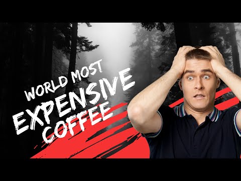 How Civet Cat make World Most Expensive Coffee - Interesting Facts Civet Coffee |The Fact Book