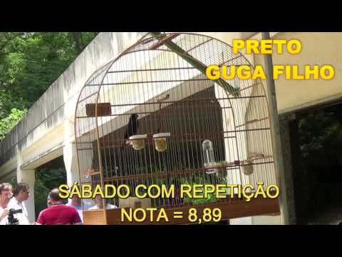 PRETO GUGA FILHO - SÁBADO