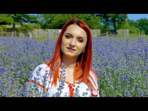 CODRUTA DOBRE - SPRE CASA BUNICILOR ♪ (Muzica de Petrecere) 2023