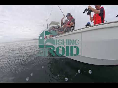 水中ドローン釣り動画