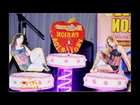 MIX CHAMIZAS  PASION PROHIBIDA AUDIO  HQ