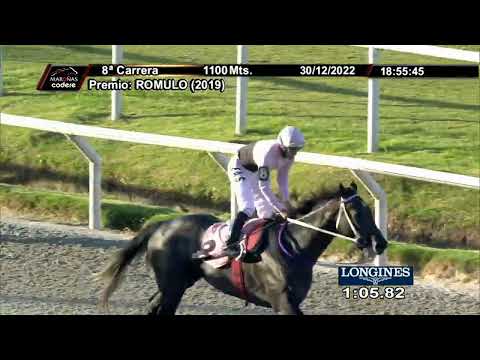 221230 c08 BELLA WATCH