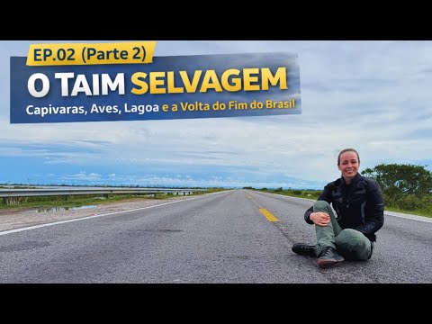 EP.02 (Parte 2) – O Taim Selvagem | Capivaras, Aves, Lagoa e a Volta do Fim do Brasil