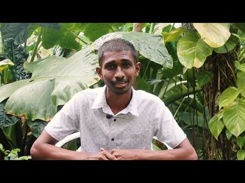 This is Kevin Fernando 📸