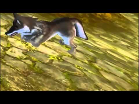 ► BACK TO LIFE ◄