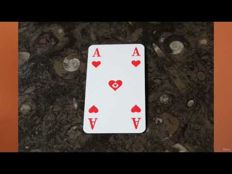 Skatkarten legen lernen Herz Ass erklärt