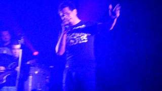 Amores- david demaria ct