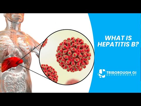 WHAT IS HEPATITIS B?