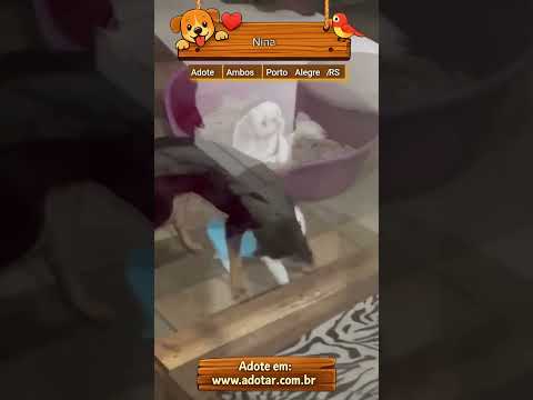 Vídeo de Nina