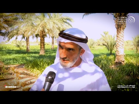 img-video