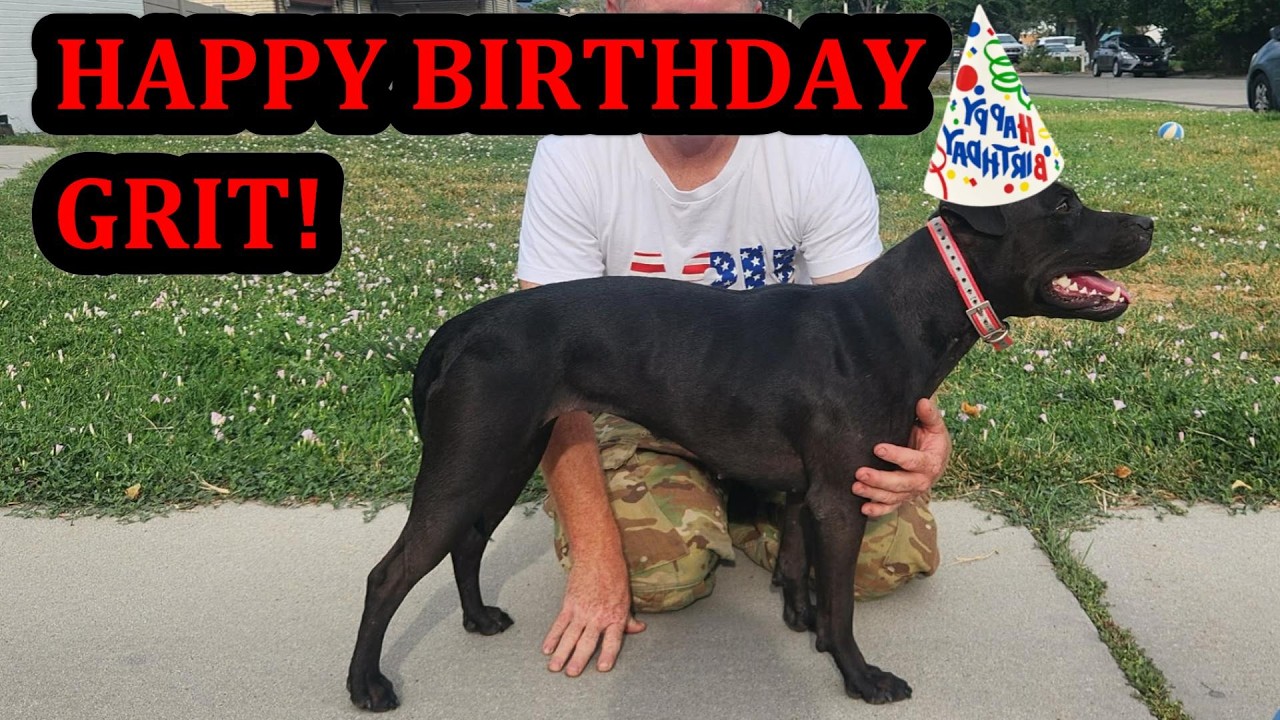 Happy Birthday Grit!