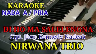 Download lagu KARAOKE DIHO MA SALELENGNA NADA COWOK mp3