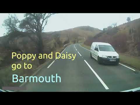 Poppy and Daisy go to Barmouth Mar 2022