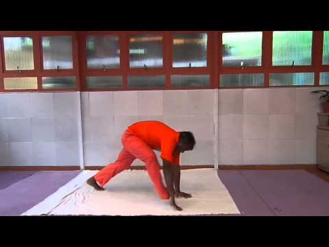 Saudação ao Sol - Surya Namaskara