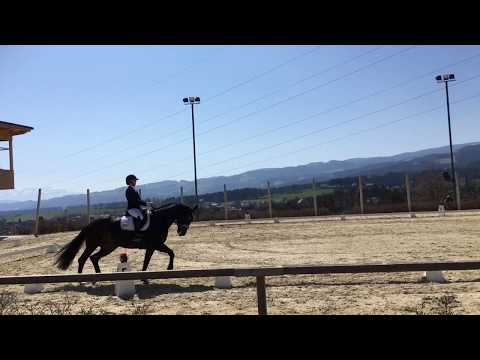 Dark Prinzess Forever DPL Kärnten März Sonntag 2. Platz