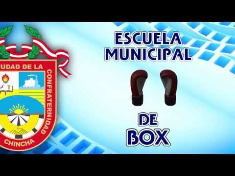 Academia Municipal de Box
