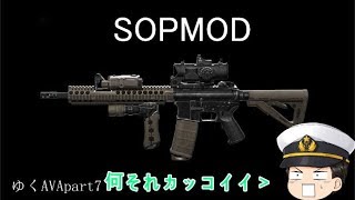 【AVAゆっくり実況】ゆっくりたちのAVAれ生活　Part7｢SOPMOD」（ゆっくり実況)