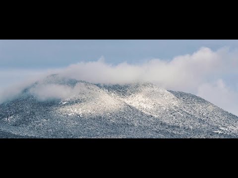 How To ANIMATE Cinematic Black Bars In Premiere Pro