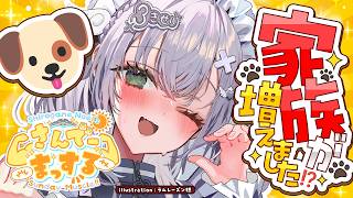 白銀ノエル - 【朝活雑談】日曜10時はさんでーまっする！新しい家族のお話も！【白銀ノエル/ホロライブ】