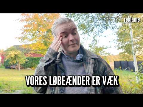 Mikkel lægger gulv og ænderne er døde | Livet på gården Ep. 108