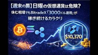 【週末の罠】日曜の仮想通貨は危険？休む相場でもBitradeX「3000ドル運用」が稼ぎ続けるカラクリ