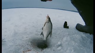 Рыбалка заславское водохранилище