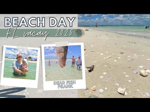 Fishy Fun, at the Beach, w/ the Usual Suspects (FL vacay 2025) 🐚