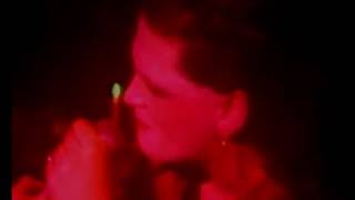 VIRGIN PRUNES-PAGAN LOVESONG(Live 1983)