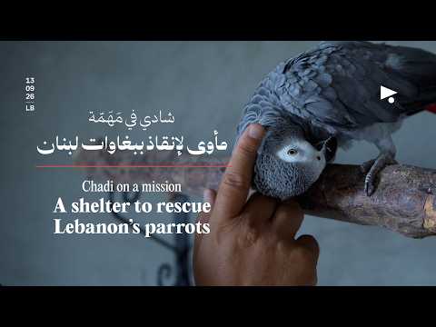 Watch on YouTube