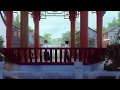 Woh Chali Woh Chali Male WhatsApp Status Video