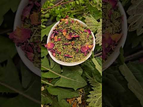 Darmkur für Eure Wachteln, Hühner, Hunde und Co. Teil 1 - Frühjahr