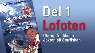preview picture of video 'Havfiske i Lofoten - Del 1: Jakten På Storfisken, sportsfiske i Lofoten, Sportfishing Norway.'