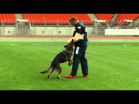 Navita von Metunaj  BSZS 2015