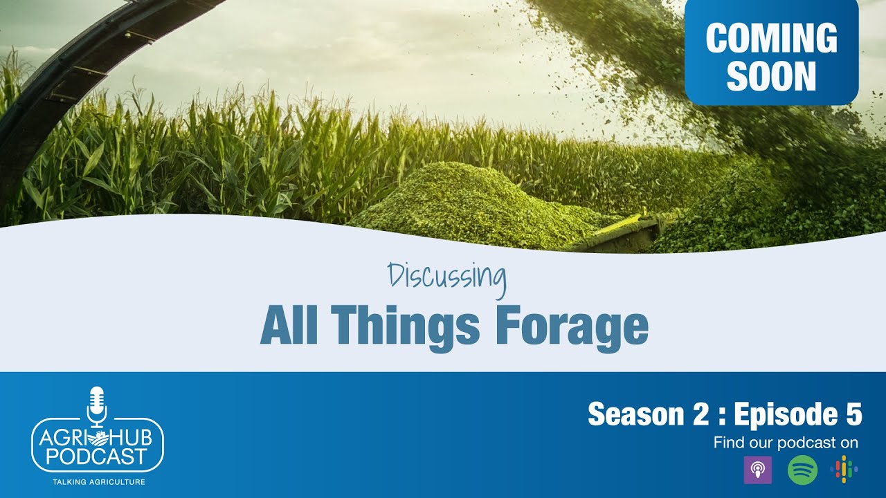 Episode 5: All Things Forage