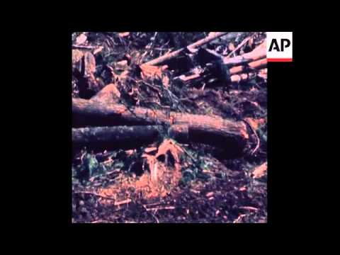 SYND 4 5 73 HELIUM FILLED BALLOONS USED TO TRANSPORT LOGS IN OREGON
