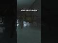 This Horror Game Gave Me Arachnophobia Huntsman Streamer Horror Spider
