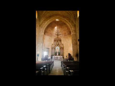 Novigrad 1. Uvod u duhovnu obnovu - vlč. Ramos