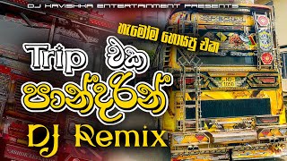 Download lagu ට්රිප් එක පාන්දරින් DJ Remix | trip eka pandarin Dj remix | Bus DJ Remix 2025 |new dj remix | mp3 Download lagu ට්රිප් එක පාන්දරින් DJ Remix | trip eka pandarin Dj remix | Bus DJ Remix 2025 |new dj remix | mp3