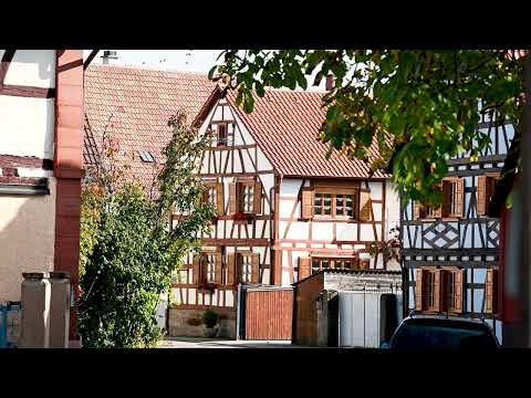 Pfälzer Geheimtipps - Südpfälzer Viehstrich