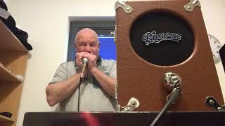 Video thumbnail for Pignose 7-100 test by George Harmonica