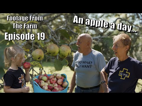 Footage From The Farm: Episode 19 -  Harvest Magic Unfolds at Pol Farm! 🍏🌾